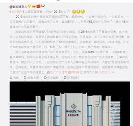 临沂最新爆料,揭秘神秘事件背后的真相  第2张