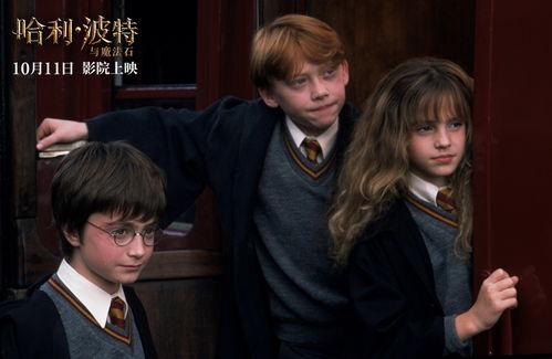 哈利波特在线观看免费,魔法世界免费在线观影之旅  第2张